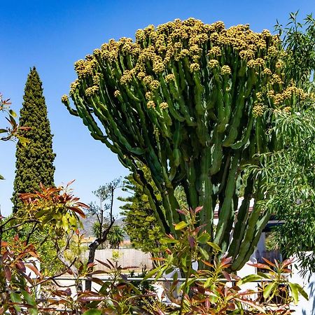 The Palms Boutique Resort Malaga - Adults Only Алаурін-де-ла-Торре Екстер'єр фото