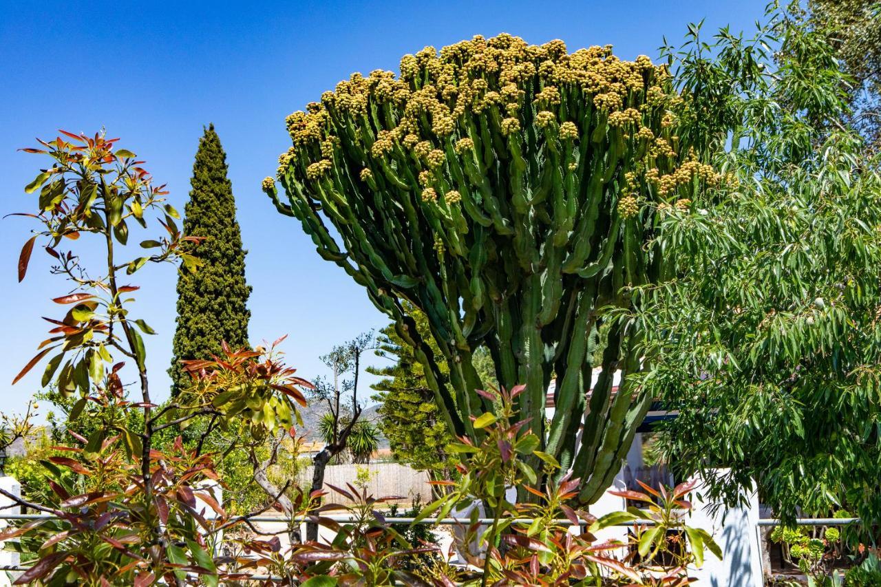 The Palms Boutique Resort Malaga - Adults Only Алаурін-де-ла-Торре Екстер'єр фото